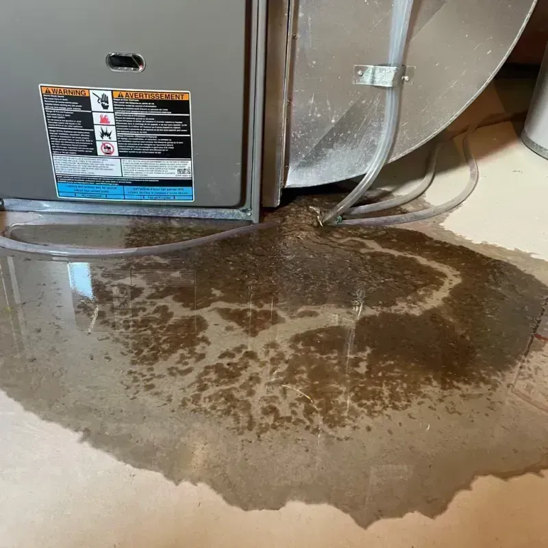 Appliance Leak Cleanup in Lafayette County, MO